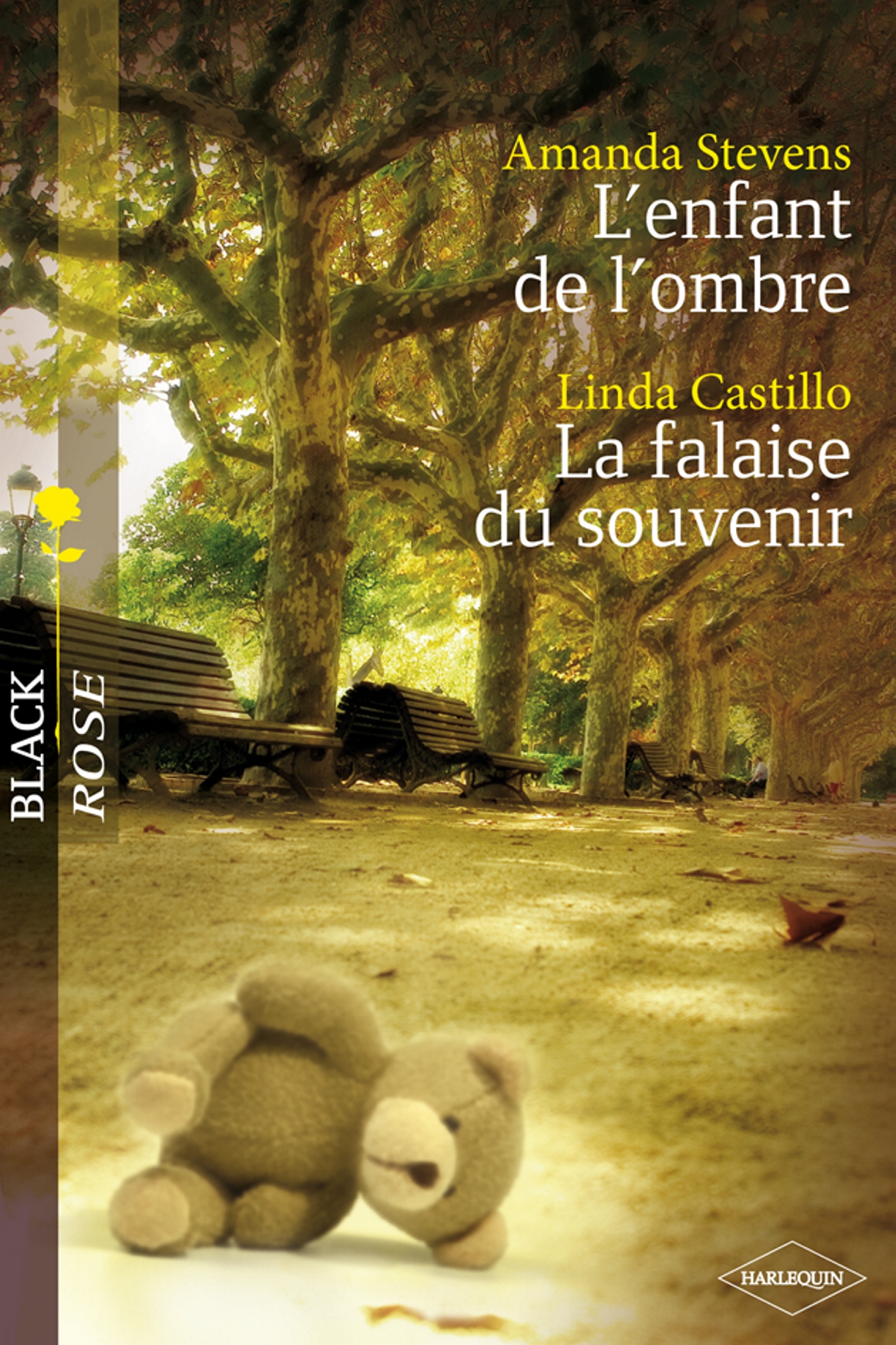L'enfant de l'ombre / La falaise du souvenir